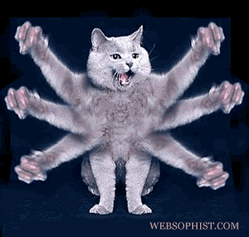cat_6arms_280x266_ani.gif