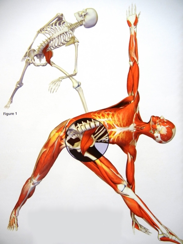 is a kneeling for back more the  probably is that the yoga 'lunge' case stretch It pain  pose  lower
